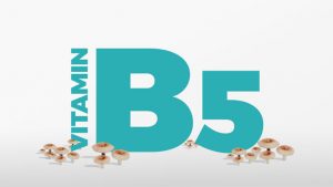 Axit pantothenic (Vitamin B5) là chất gì?
