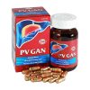 PV Gan 60 viên