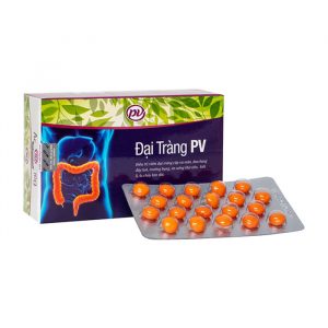 PV Pharma Đại Tràng PV 100 viên